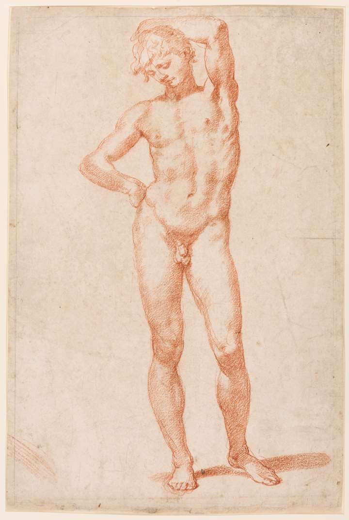 A Standing Male Nude